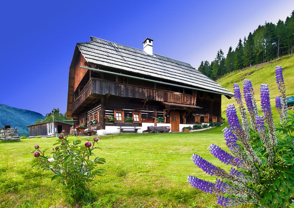 Apartment Schrunerhof *