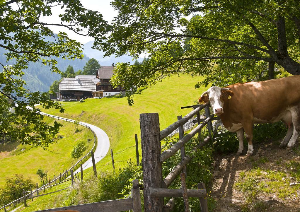 Schrunerhof Ebene Reichenau